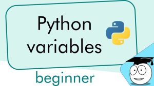 Biến trong Python là gì? Hướng dẫn cơ bản khai báo, khởi tạo và gán biến